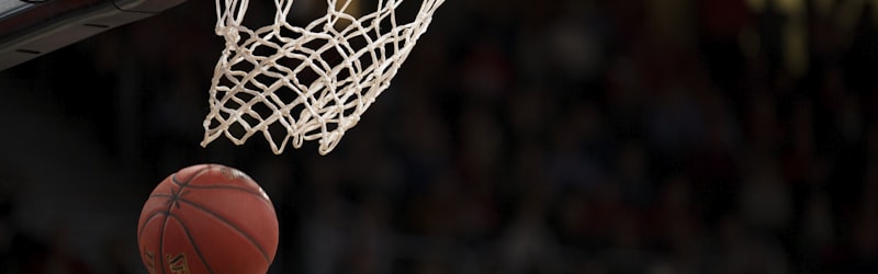 美国职业篮球联赛NBA官方标志